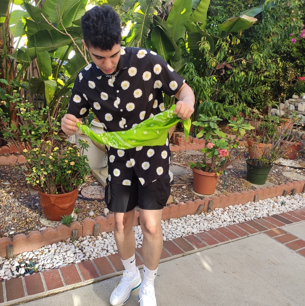 Sunflower Button up